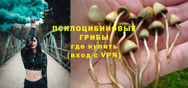 Псилоцибиновые грибы Magic Shrooms  площадка клад  Кирс 